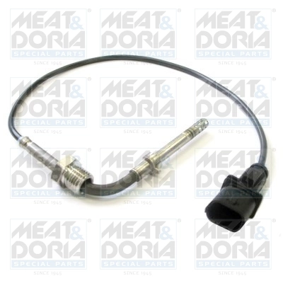 Sensor, exhaust gas temperature
